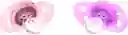 Twistshake Chupos Entretención X2 Unidades Bebe 0-6m Rosa