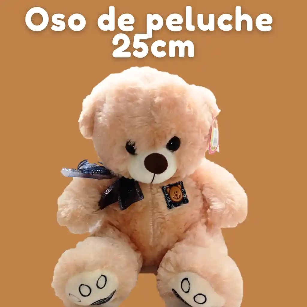 Oso De Peluche 25 Cm 1