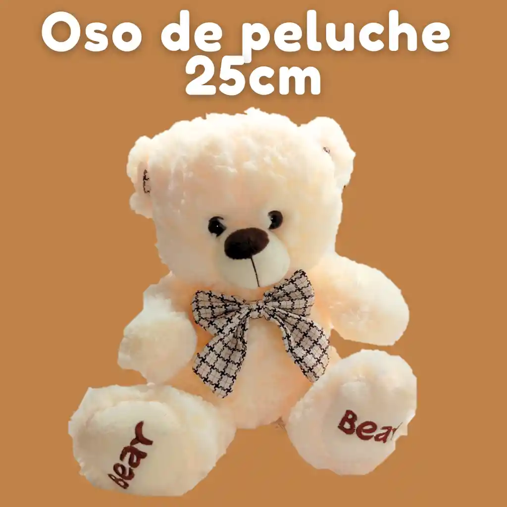 Oso Peluche 25cm 3