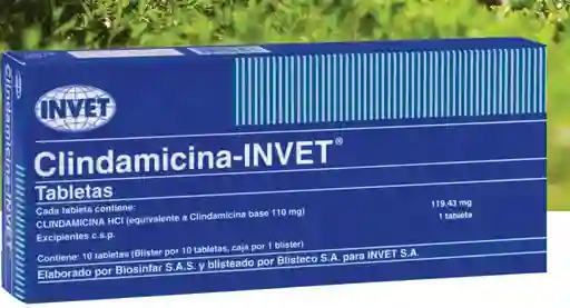 Clindamicina Invet X 10 Tabletas