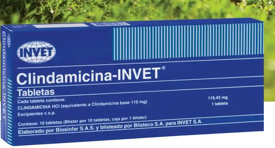 Clindamicina Invet X 10 Tabletas