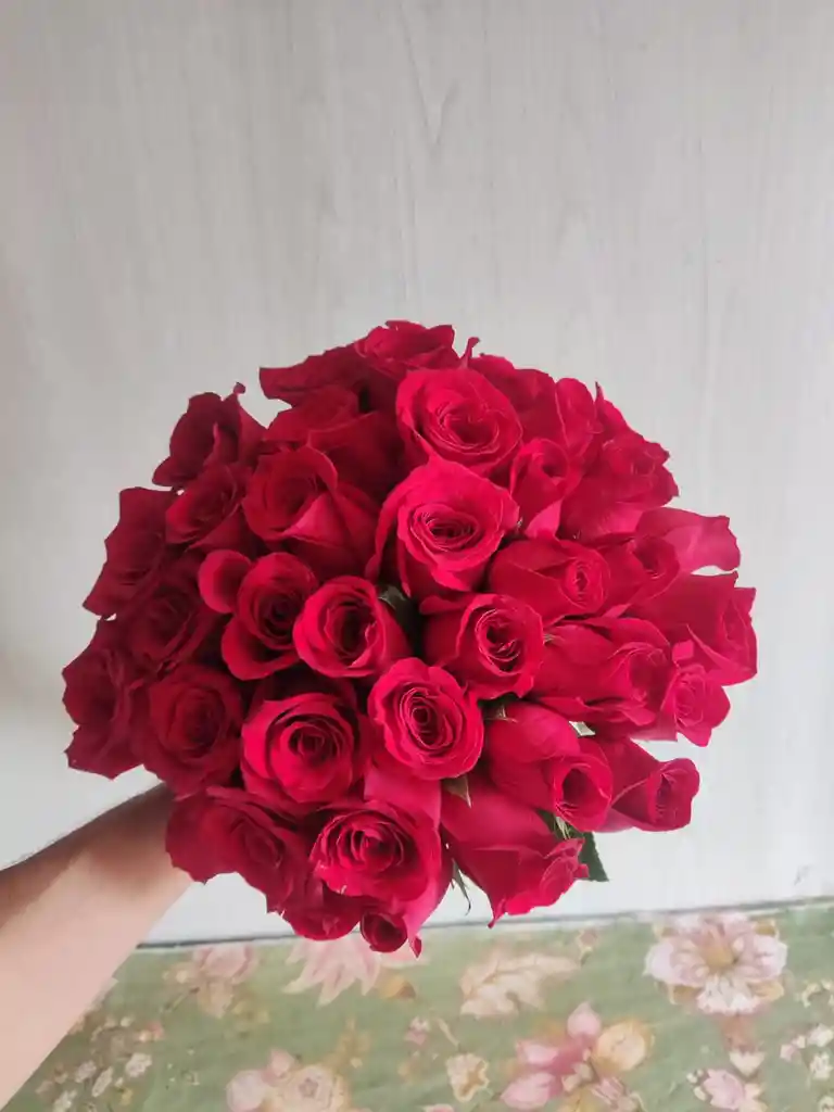 24 Rosas Exclusivas