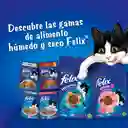 Comida para Gatitos Purina Felix Megamix x 10kg