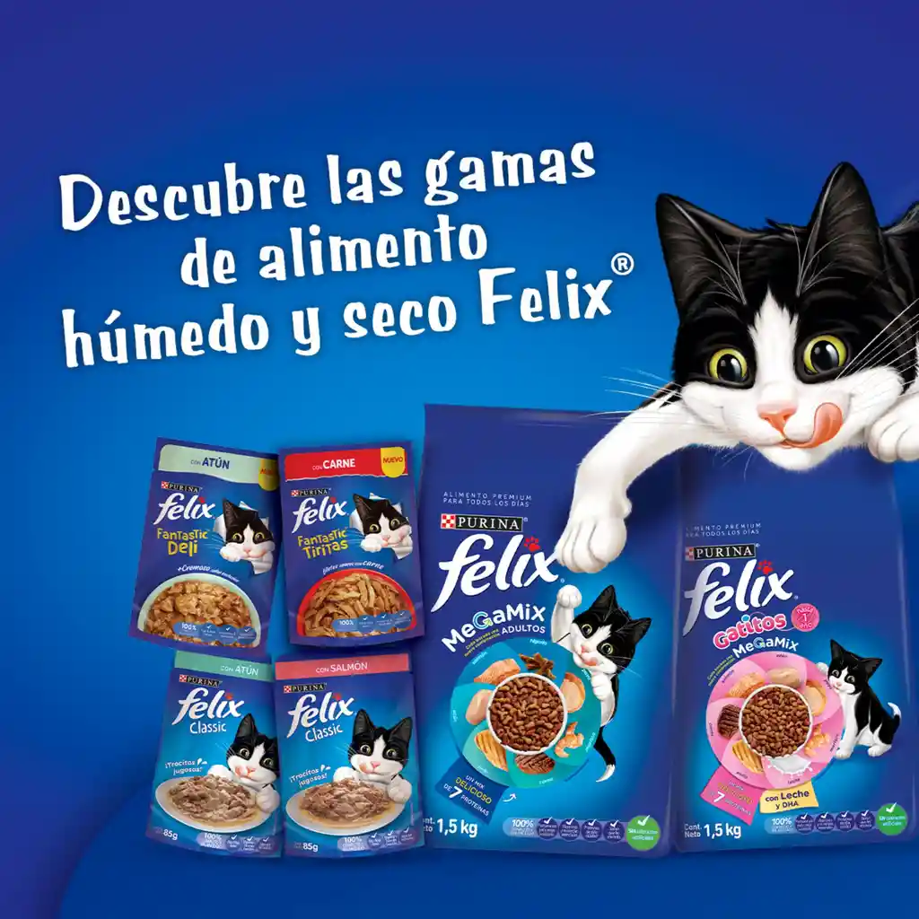 Comida para Gatitos Purina Felix Megamix x 10kg