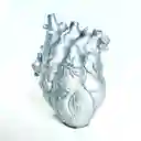 Jarrón Anatomía Del Corazón Humano Color Plata