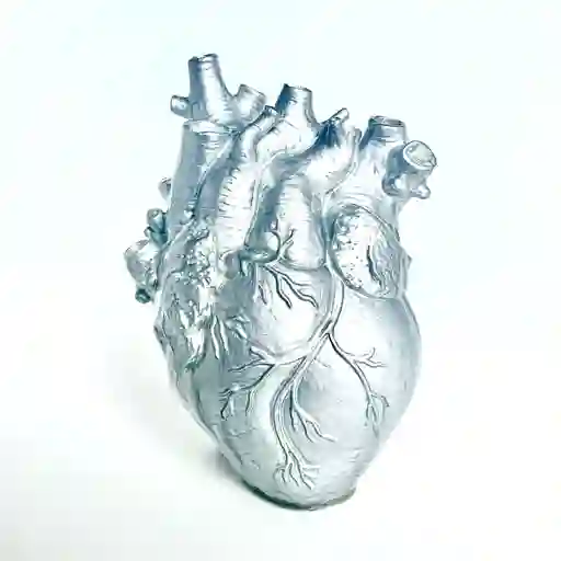 Jarrón Anatomía Del Corazón Humano Color Plata