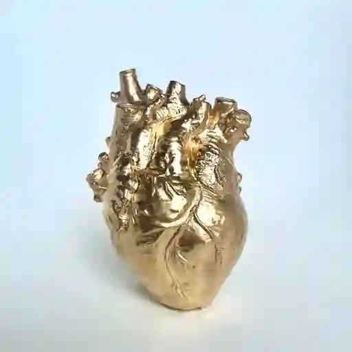 Jarrón Anatomía Del Corazón Humano Color Oro