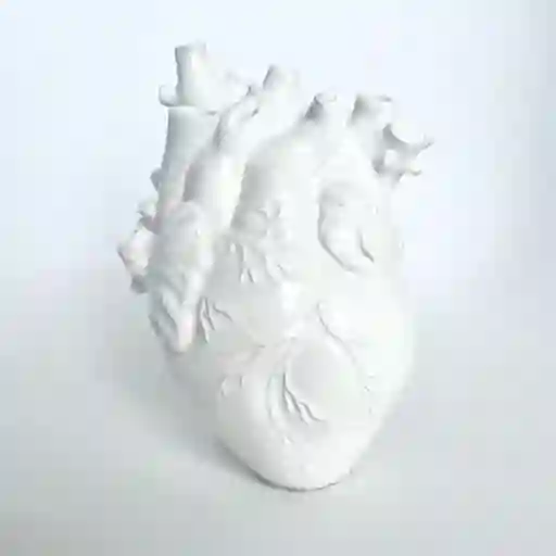 Jarrón Anatomía Del Corazón Humano Color Blanco