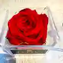 Mini-solitario Rosa Roja