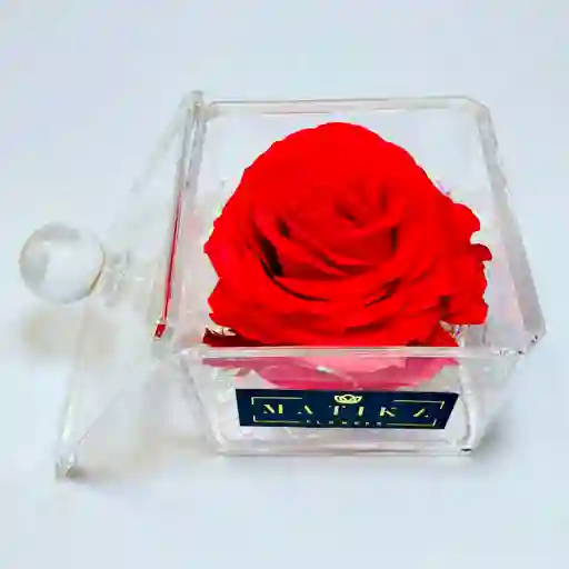 Mini-solitario Rosa Roja