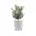 Matera Ryfo N Eco 15 Cm Blanco