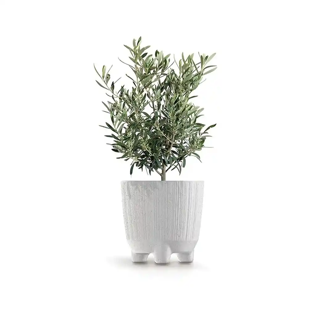 Matera Ryfo N Eco 15 Cm Blanco