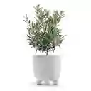 Matera Ryfo N Eco 20 Cm Blanco