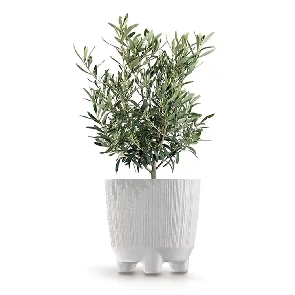 Matera Ryfo N Eco 20 Cm Blanco