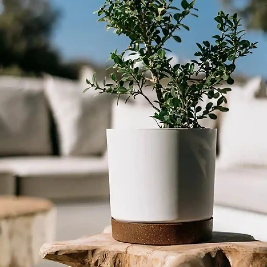 Matera Tubo Pm 20 Cm Blanco