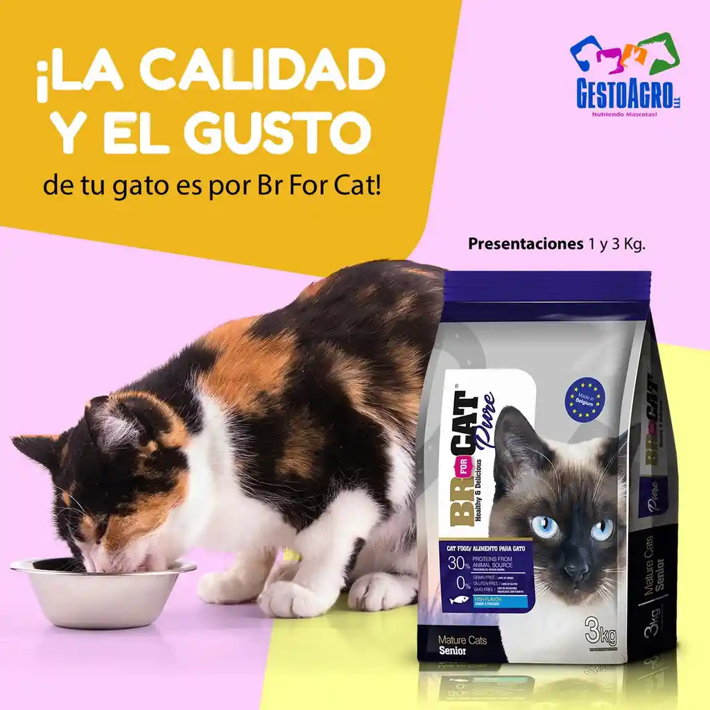 Alimento Para Gato Senior Br For 1kg