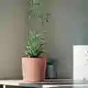 Matera Tubo P Beton 11 Cm Gris Concreto