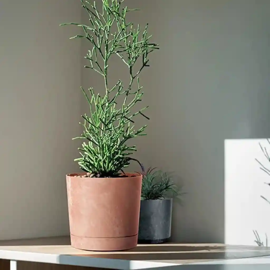 Matera Tubo P Beton 11 Cm Gris Concreto