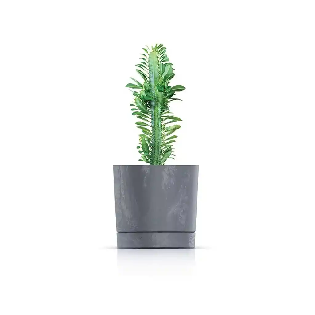 Matera Tubo P Beton 15 Cm Gris Concreto