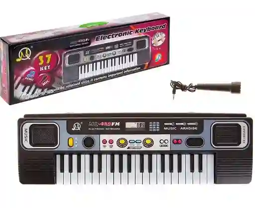 Juguete Piano Organeta Q-827