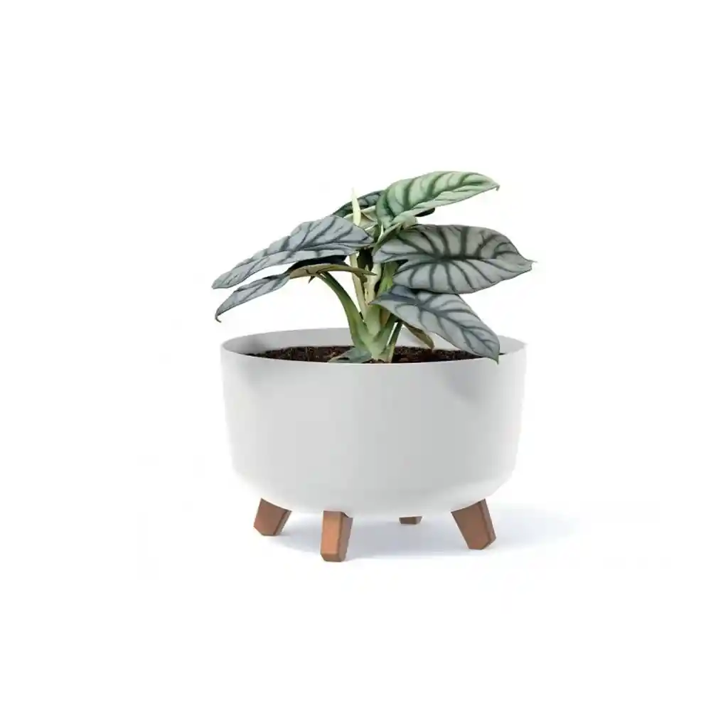 Matera Gracia Round Low 24 Cm Blanco