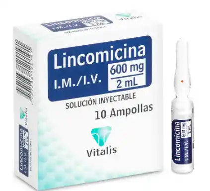 Lincomicina 600 Mg X 1 Ampolla 2 Ml