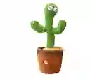 Cactus Bailarín Repite Lo Que Dices