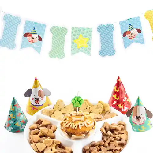 Pet Brunch - Banderín De Pared Niña