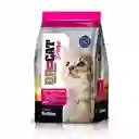 Br Gatitos 3kg