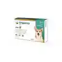 Simparica 2.5kg A 5kg