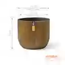 Matera Conic Round Groove 17 Cm Oro