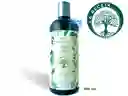 Shampoo De Romero Para Cabello Graso La Receta 500 Ml