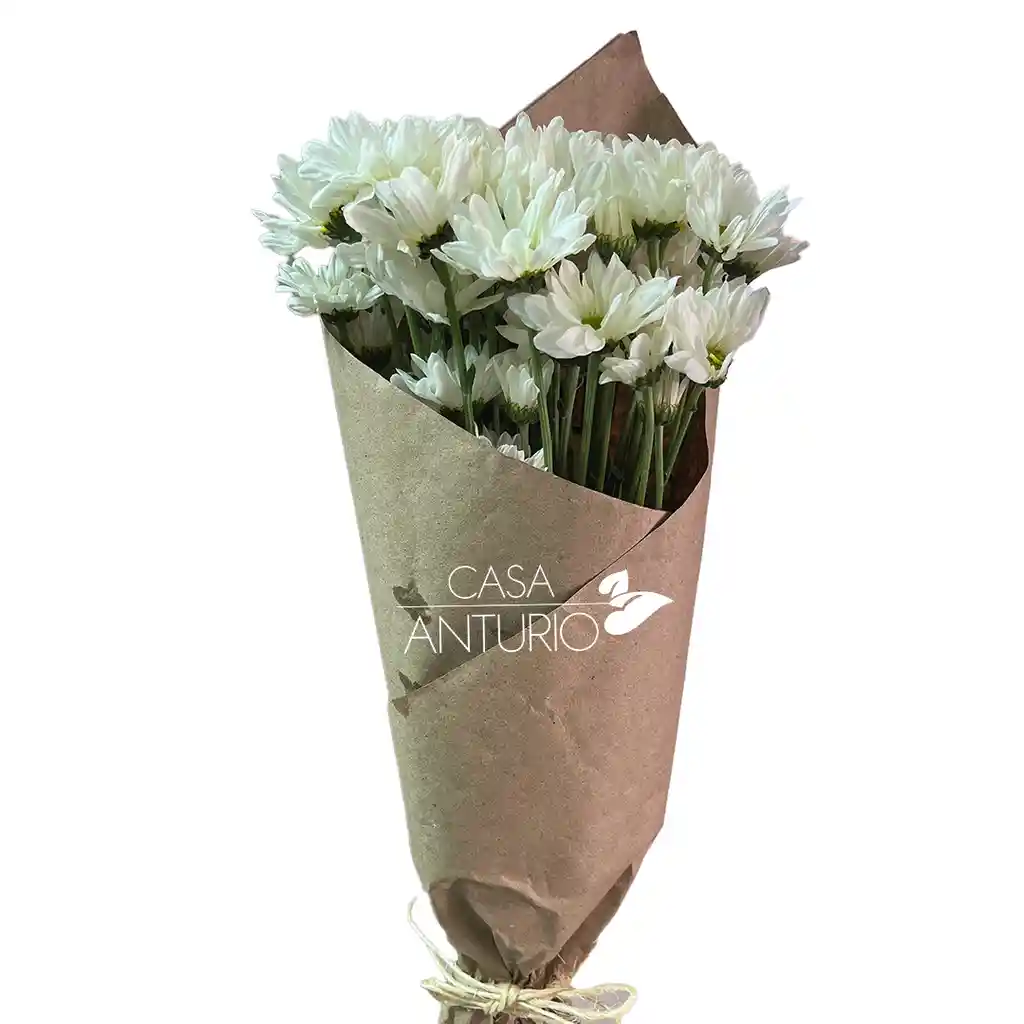 Bouquet De Margaritas Blancas