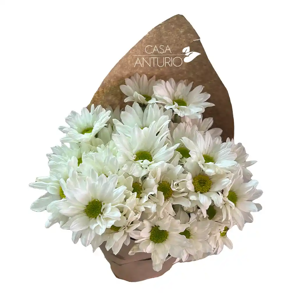 Bouquet De Margaritas Blancas