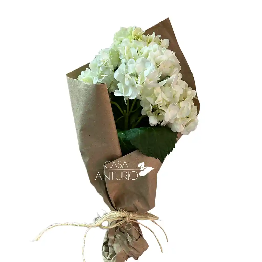 Unidad De Hortensia Blanca