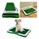 Tapete Baño Entrenador Para Mascotas Ecologico (47x34cms)