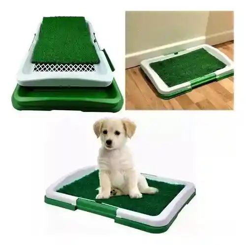 Tapete Baño Entrenador Para Mascotas Ecologico (47x34cms)