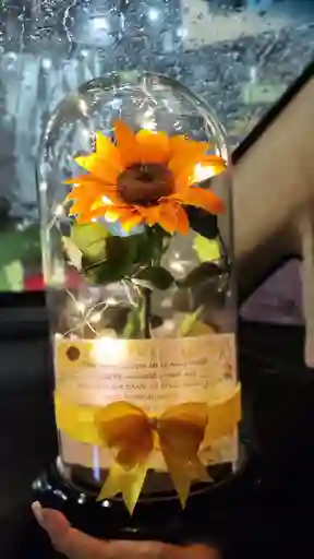 Girasol Preservado Personalizado