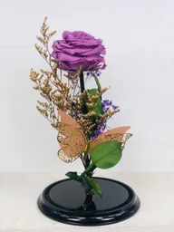 Rosa Preservada Luxury Lila