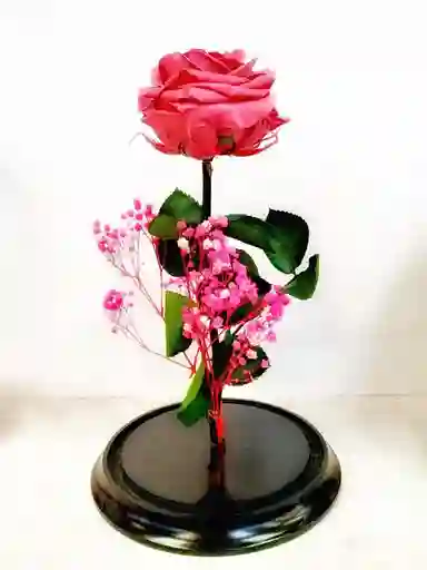 Rosa Preservada Luxury Rosada