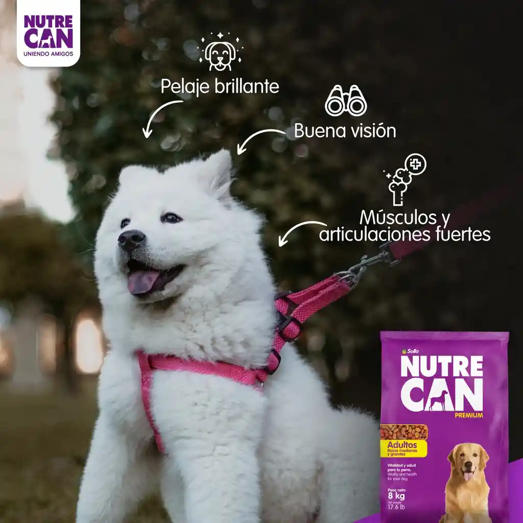 Nutrecan Adulto Raza Mediana Grande 2 Kg