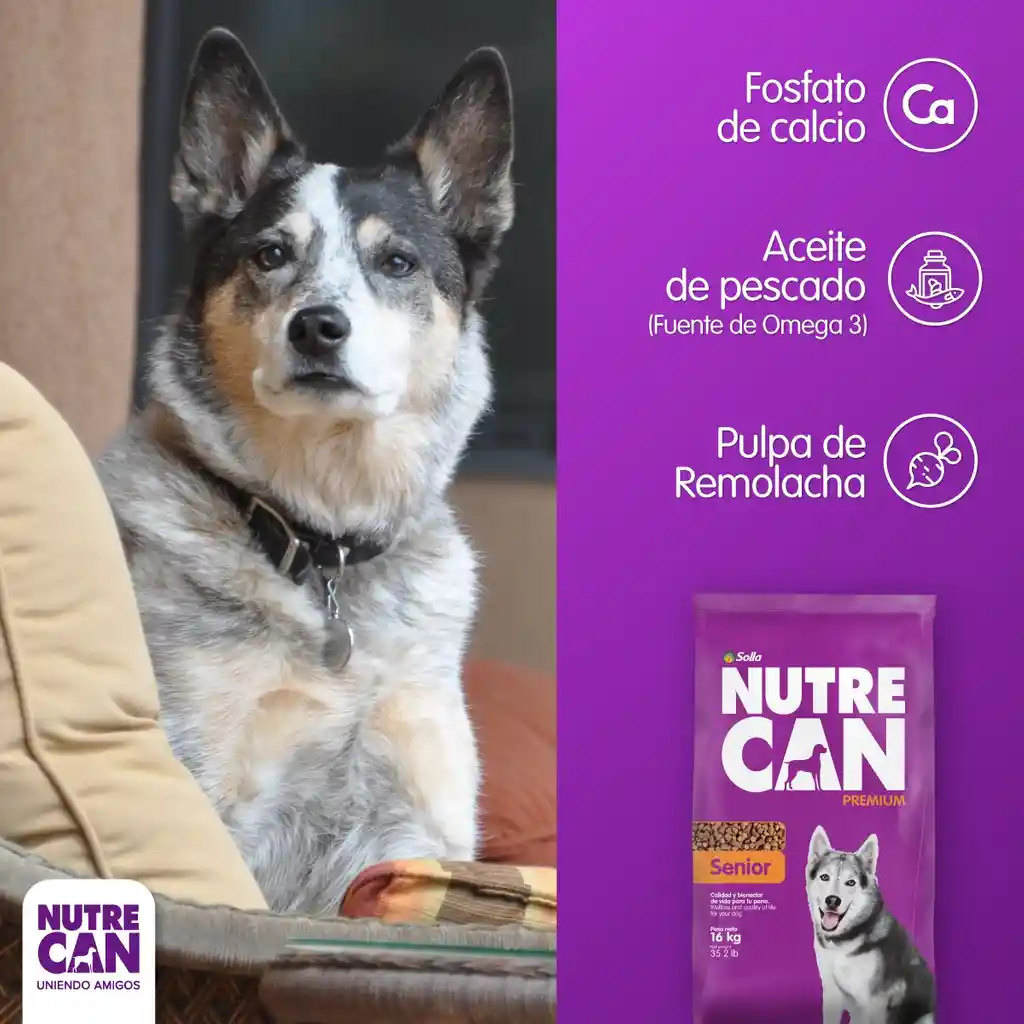 Nutrecan Para Perro Senior 2 Kg