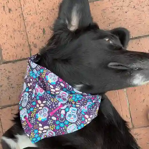 Pañoleta Doble Faz Bandana Perro Gato Catrina Hallowen Morada