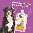 Shampoo Para Mascotas Perros Y Gatos Razan 300 Ml Shampoo Perros Y Gatos 300 Ml