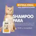 Shampoo Para Mascotas Perros Y Gatos Razan 300 Ml Shampoo Perros Y Gatos 300 Ml