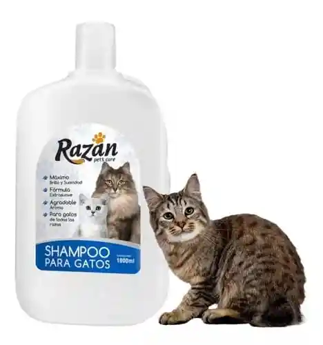 Shampoo Para Gatos Razan 300 Ml Shampoo Para Mascotas