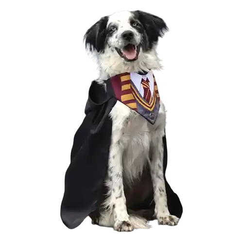 Disfraz Para Perro Harry Potter Ab