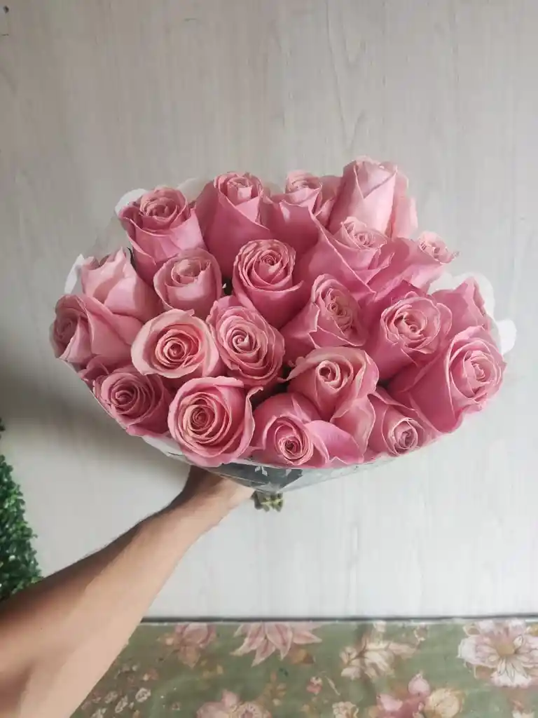 24 Rosas Rosadas Exclusivas