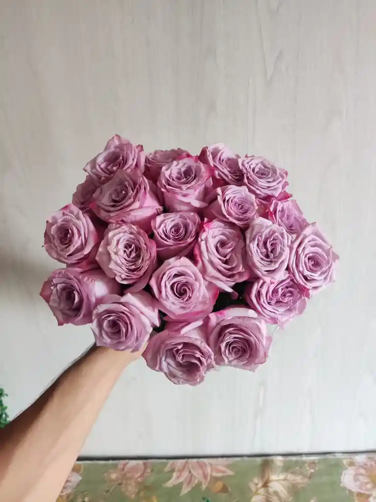 24 Rosas Mora En Leche Exclusivas