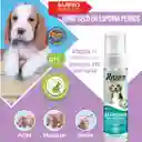 Baño Seco Para Perros Con Aloe Vera, Leche De Coco Y Jalea Real 200 Ml Baño Seco Para Mascotas